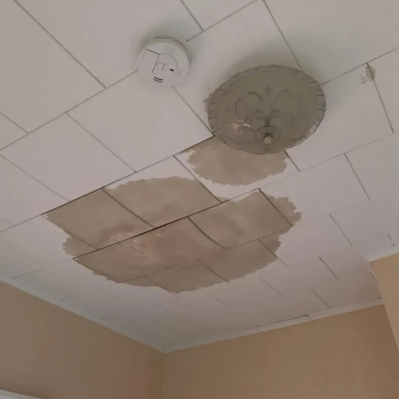 Ceiling Water Damage Repair in Alpha, NJ