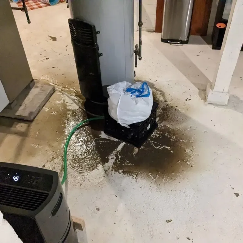 Sewage Backup Cleanup Service in Alpha, NJ